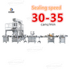 Automatic Bottling Packing Nuts Food Granules Filling Line