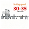 Automatic Bottling Packing Nuts Food Granules Filling Line